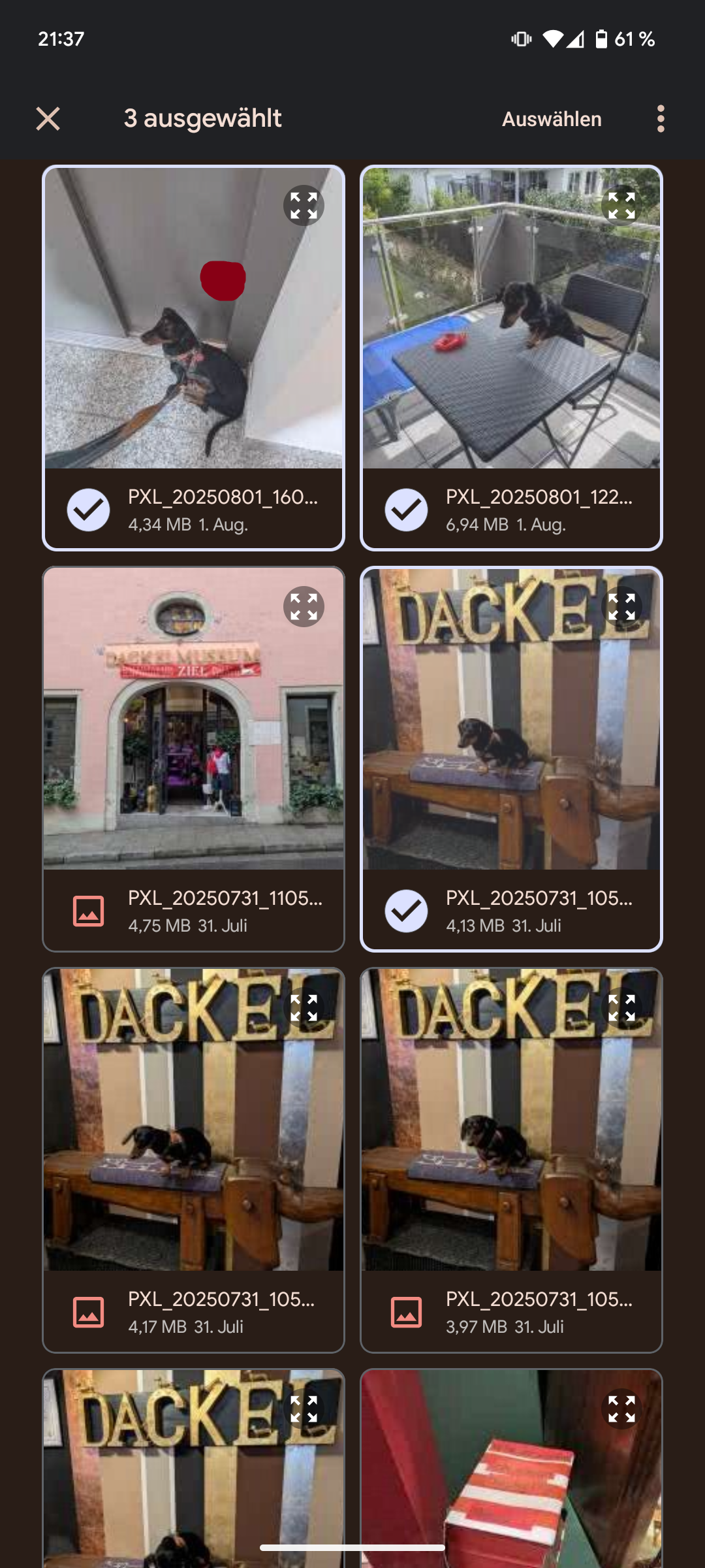 Bilder auswählen